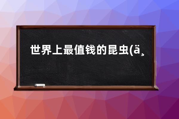 世界上最值钱的昆虫(世界上最值钱的昆虫图片)