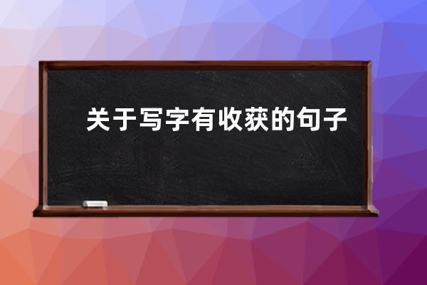 关于写字有收获的句子
