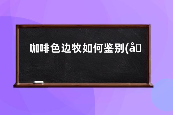 咖啡色边牧如何鉴别(咖啡色边牧为什么不能繁殖下一代)
