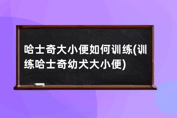 哈士奇大小便如何训练(训练哈士奇幼犬大小便)