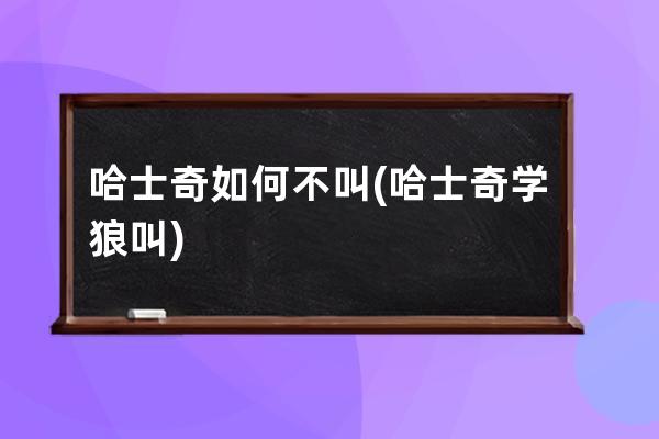 哈士奇如何不叫(哈士奇学狼叫)