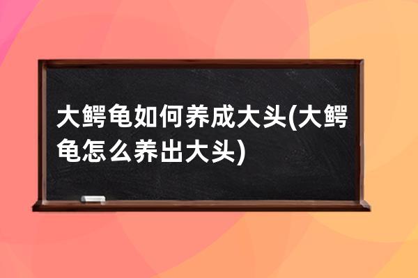 大鳄龟如何养成大头(大鳄龟怎么养出大头)
