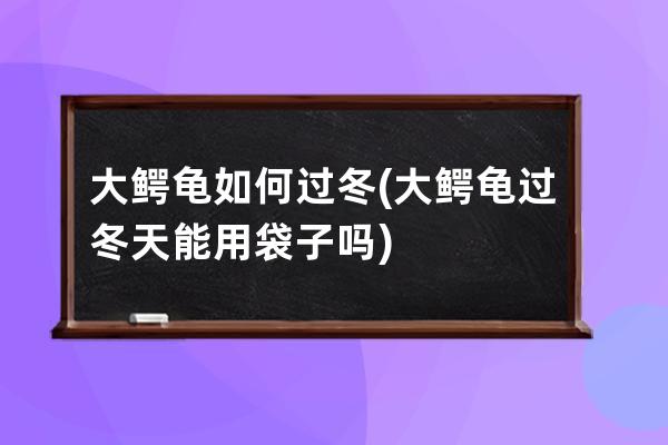 大鳄龟如何过冬(大鳄龟过冬天能用袋子吗)