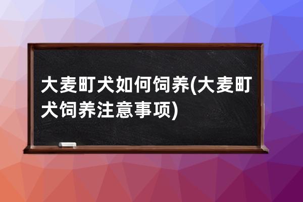 大麦町犬如何饲养(大麦町犬饲养注意事项)