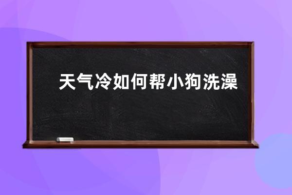 天气冷如何帮小狗洗澡