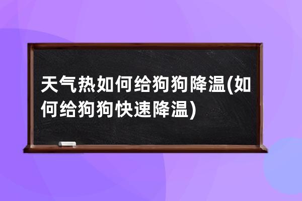 天气热如何给狗狗降温(如何给狗狗快速降温)