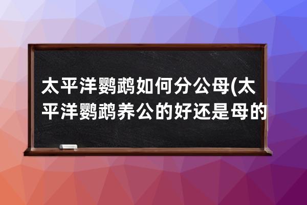 太平洋鹦鹉如何分公母(太平洋鹦鹉养公的好还是母的好)
